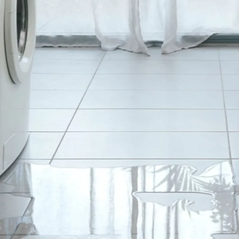 Appliance Leak Cleanup in Giles County, TN
