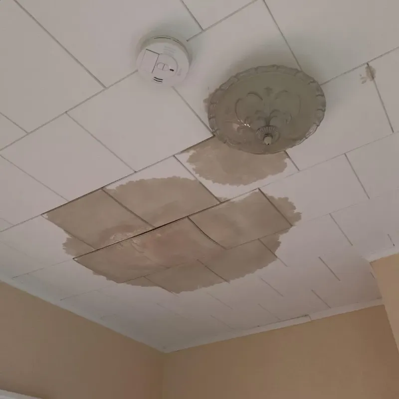 Ceiling Water Damage Repair in Giles County, TN