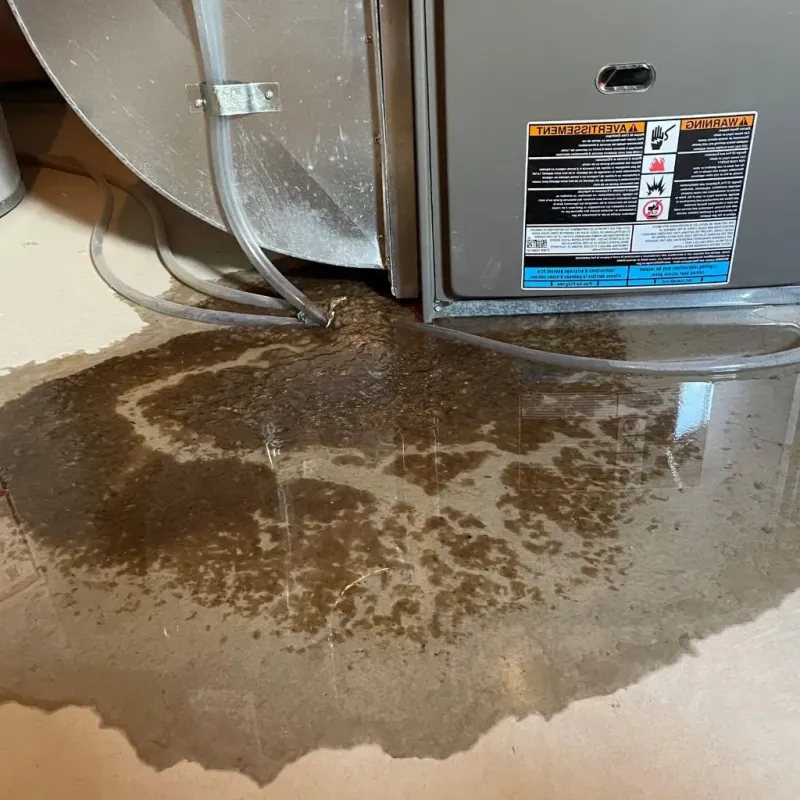 Pipe Burst and Leak Restoration in Giles County, TN