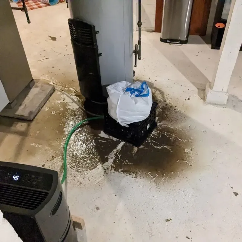 Sewage Backup Cleanup Service in Giles County, TN